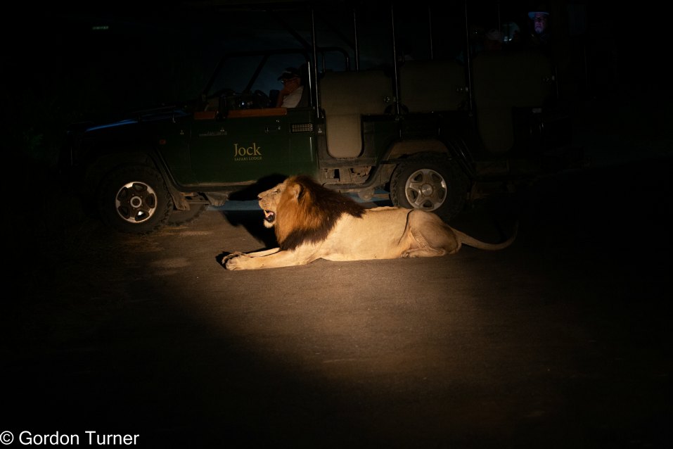 <h2>The Best of South Africa Escorted 2023</h2> 14 Nights | 6 Rounds | March 11 - 25